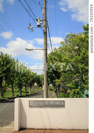 Katano Girls' Academy Katano Girls' Academy 79105954