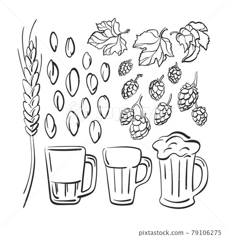 Beer glass and mug. Vector set. Graphic illustration 79106275