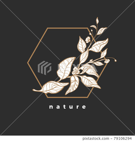Branch of tea bush. Vector design. Art line symbol. Branch of tea bush. Vector design. Art line symbol. 79106294