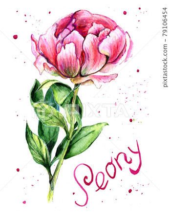 Handmade watercolor card with flowers and peonies flover. 79106454