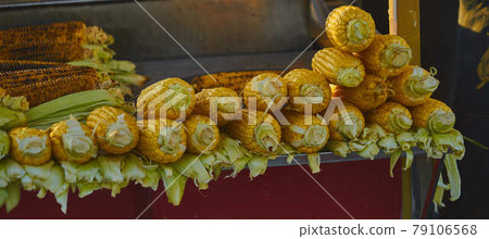 Strung and stacked fresh yellow corncobs at a stall for grilled corn 79106568