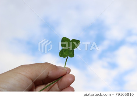 Hold the happy four-leaf clover over the sky 79106810