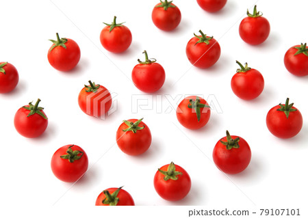 Lined up petit tomatoes mini tomatoes vegetables white background 79107101