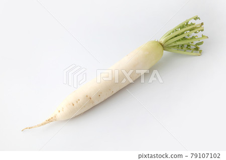 Radish radish vegetables white background 79107102