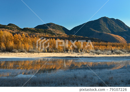 Autumnal leaves of Odashiro 79107226