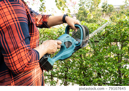Gardener holding electric hedge trimmer to cut the treetop in garden. Gardener holding electric hedge trimmer to cut the treetop in garden. 79107645