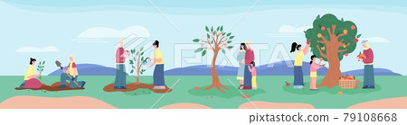 Life line of people and fruit tree from seed to harvest from large plant. Life line of people and fruit tree from seed to harvest from large plant. 79108668