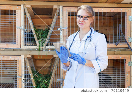 Veterinarian woman with tablet computer checking animal health status on barn ranch background. Vet doctor check up rabbit in natural eco farm. Animal care and ecological livestock farming concept. Veterinarian woman with tablet computer checking animal health status on barn ranch background. Vet doctor check up rabbit in natural eco farm. Animal care and ecological livestock farming concept. 79110449