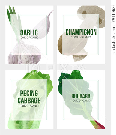 Summer veggies banners, hand drawn vector image Summer veggies banners, hand drawn vector image 79110685