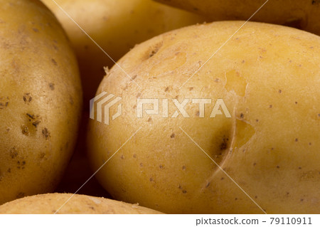 New potato isolated New potato isolated 79110911