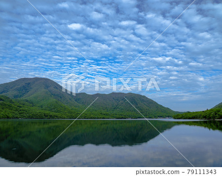 [群馬縣]赤城大沼和黑日山的風景·6月 79111343