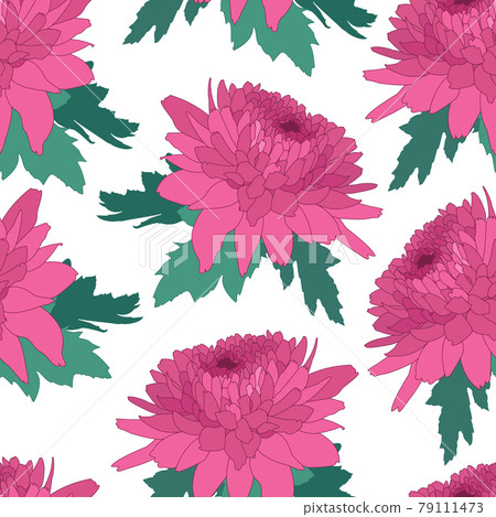 Seamless decorative pattern with pink chrysanthemum. Crown daisy repeated background. Vector Seamless decorative pattern with pink chrysanthemum. Crown daisy repeated background. Vector 79111473