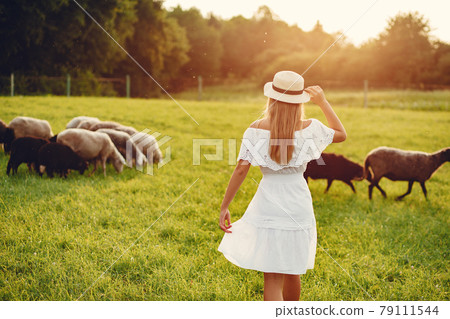 Cute girl in a field with a goats Cute girl in a field with a goats 79111544