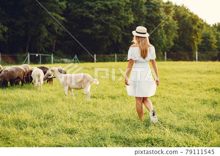 Cute girl in a field with a goats Cute girl in a field with a goats 79111545