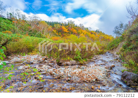 Autumn Tsugaike Natural Garden [Nagano Prefecture] 79112212