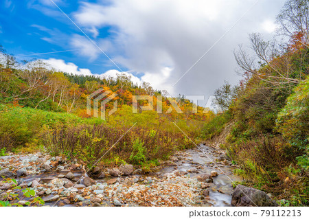 Autumn Tsugaike Natural Garden [Nagano Prefecture] 79112213