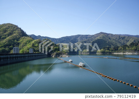 從北岸看，青翠的奧多摩湖、湖面和背景中的群山 79112419