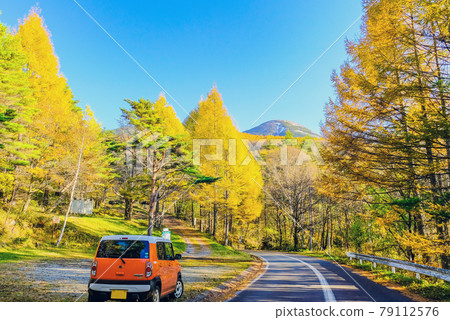 黃葉高原開車 黃葉高原開車 79112576