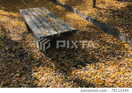 Fallen leaves and benches [Hanagien] 79113395