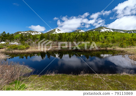 [Hakkoda Mountains, Aomori Prefecture] The northern Hakkoda mountain range that shines in the fresh green water lily swamp 79113869
