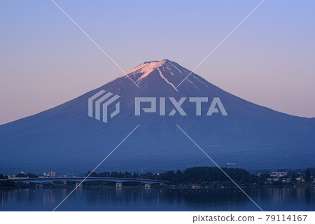 （山梨縣）朝霞中的富士山和河口湖大橋 79114167