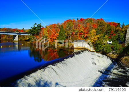 The Falls and Bridge in autumn with colorful trees and the blue sky. The Falls and Bridge in autumn with colorful trees and the blue sky. 79114603