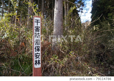 抗旱森林標誌(冬季) 抗旱森林標誌(冬季) 79114786