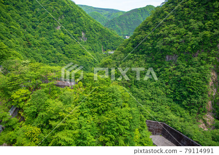 Scenery around Kawaji Dam Dam Observatory Nikko City 79114991