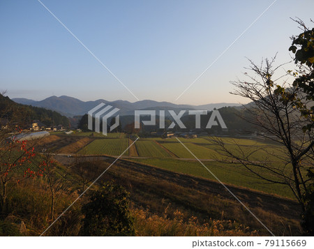 Autumn scenery in the mountains where the rising sun rises Autumn scenery in the mountains where the rising sun rises 79115669