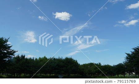 Hwarang Amusement Park, trees and clear sky Hwarang Amusement Park, trees and clear sky 79115769