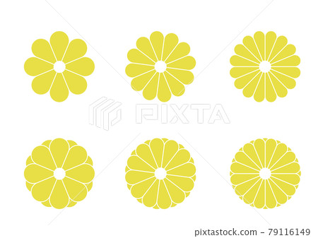 Illustration without main line of chrysanthemum flower Japanese style flower design Japanese pattern 79116149