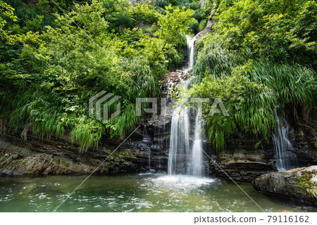 Clear cool mountain stream waterfall in the beech forest stream 79116162