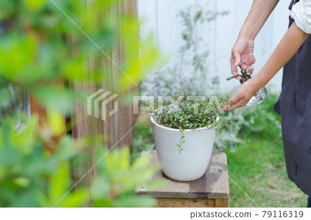 園藝澆水花園 79116319
