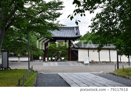 Sanboin reception desk and approach fresh green in the precincts of Daigoji Temple in Fushimi-ku, Kyoto 79117618