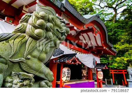 靜岡縣熱海市來宮神社(本宮) 靜岡縣熱海市來宮神社(本宮) 79118687