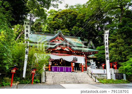 靜岡縣熱海市來宮神社(本宮) 靜岡縣熱海市來宮神社(本宮) 79118701