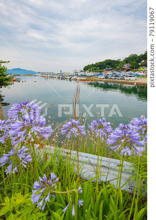 沿著海岸的風景 沿著海岸的風景 79119067