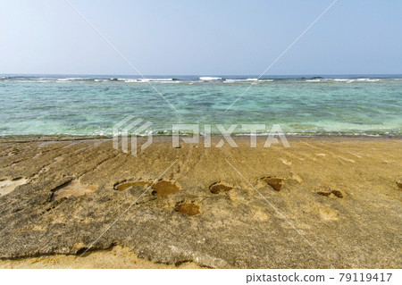 Otsukan Beach Rock on Okinoerabujima, Kagoshima Prefecture 79119417