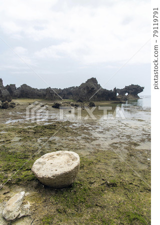 鹿兒島縣衝野良部島宇治海灘的奇石 鹿兒島縣衝野良部島宇治海灘的奇石 79119791