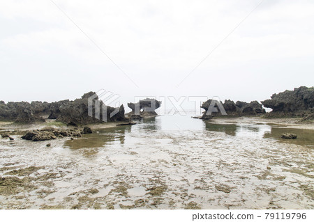 鹿兒島縣衝野良部島宇治海灘的奇石 鹿兒島縣衝野良部島宇治海灘的奇石 79119796