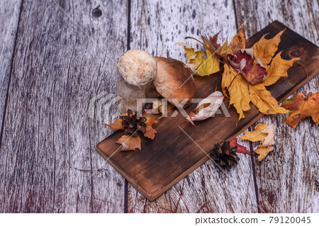 white boletus mushroom on a board on a wooden background white boletus mushroom on a board on a wooden background 79120045