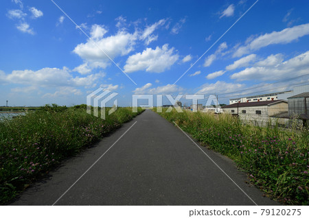 Cycling Road 79120275