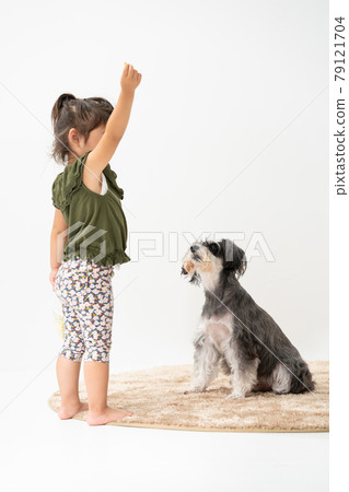 與狗迷你雪納瑞玩耍的女孩 79121704