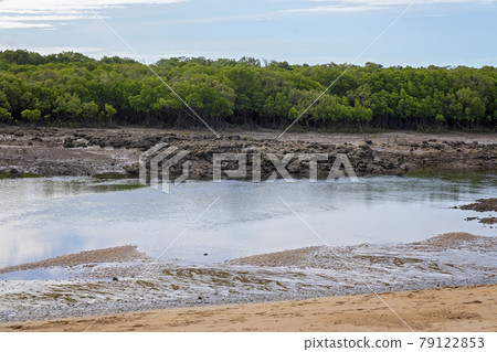 A Rural Creek At Low Tide 79122853