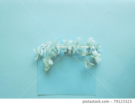 Blue envelope with blue flowers hydrangea inside on a blue background 79123323