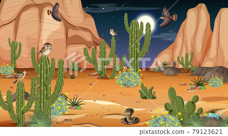 Desert forest landscape at night scene with desert animals and plants 79123621