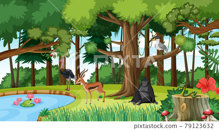 Forest scene with different wild animals Forest scene with different wild animals 79123632