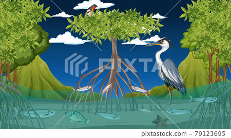 Animals live in mangrove forest at night scene Animals live in mangrove forest at night scene 79123695