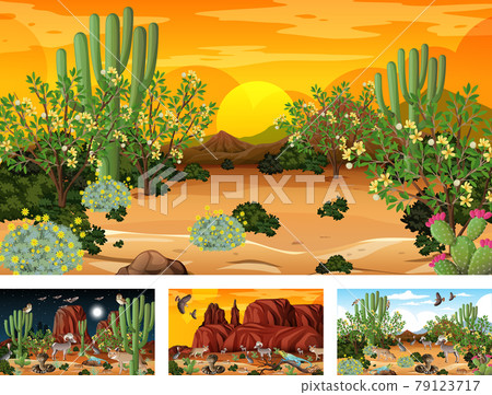 Different scenes with desert forest landscape with animals and plants 79123717