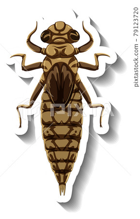 A sticker template with a mosquito insect isolated A sticker template with a mosquito insect isolated 79123720